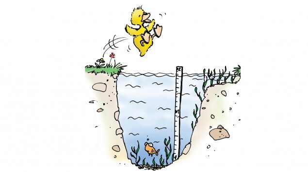 Springe nur ins Wasser, wenn es frei und tief genug ist.