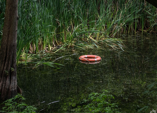 Bewachsene und sumpfige Wasserbereiche sind gefährlich.