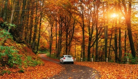 Herbst1