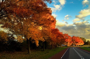 Herbst